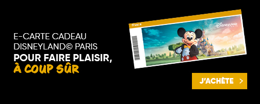 E-carte Cadeau Disneyland&reg; Paris